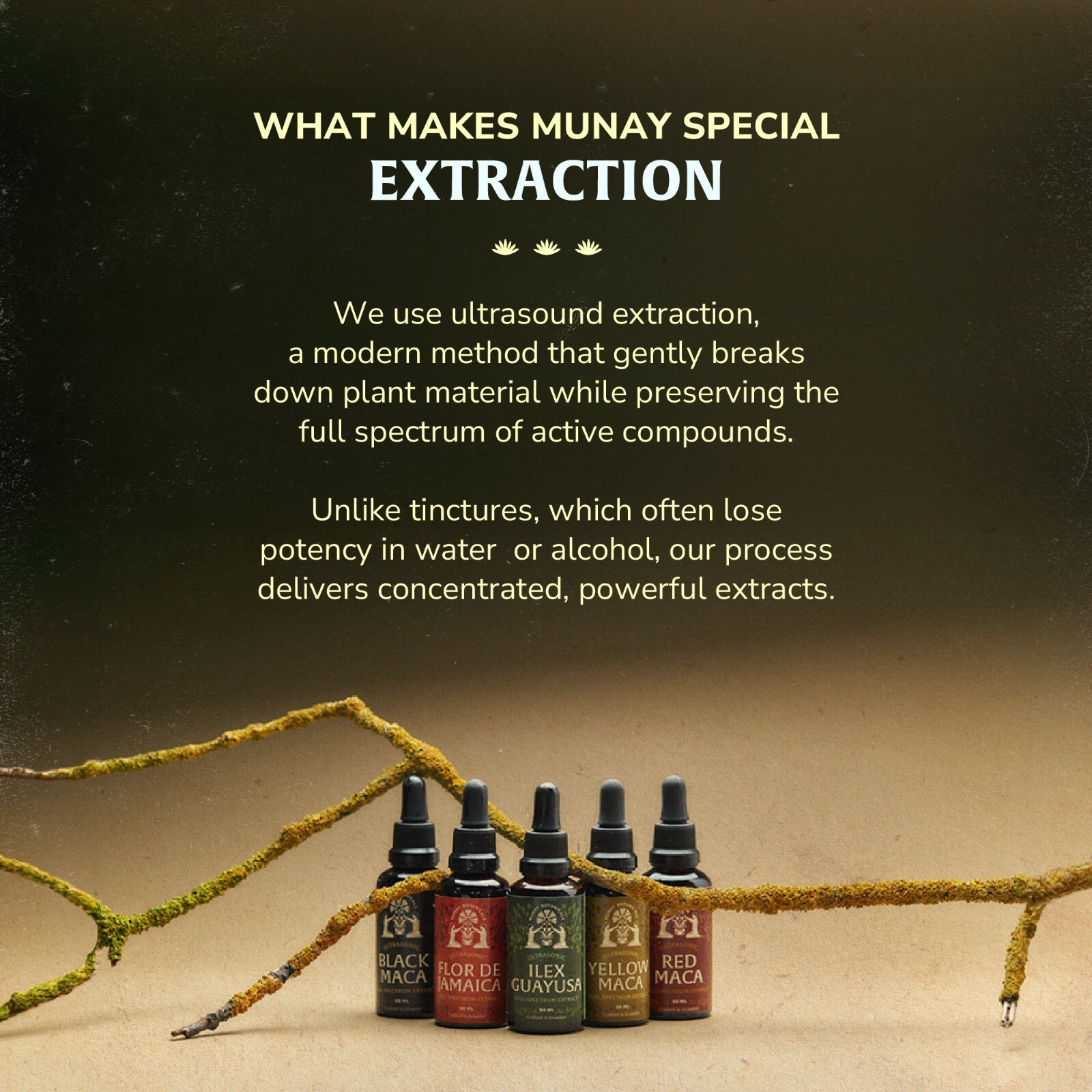 Black Maca Extract | Natural Peruvian Root | Energy & Vitality Boost