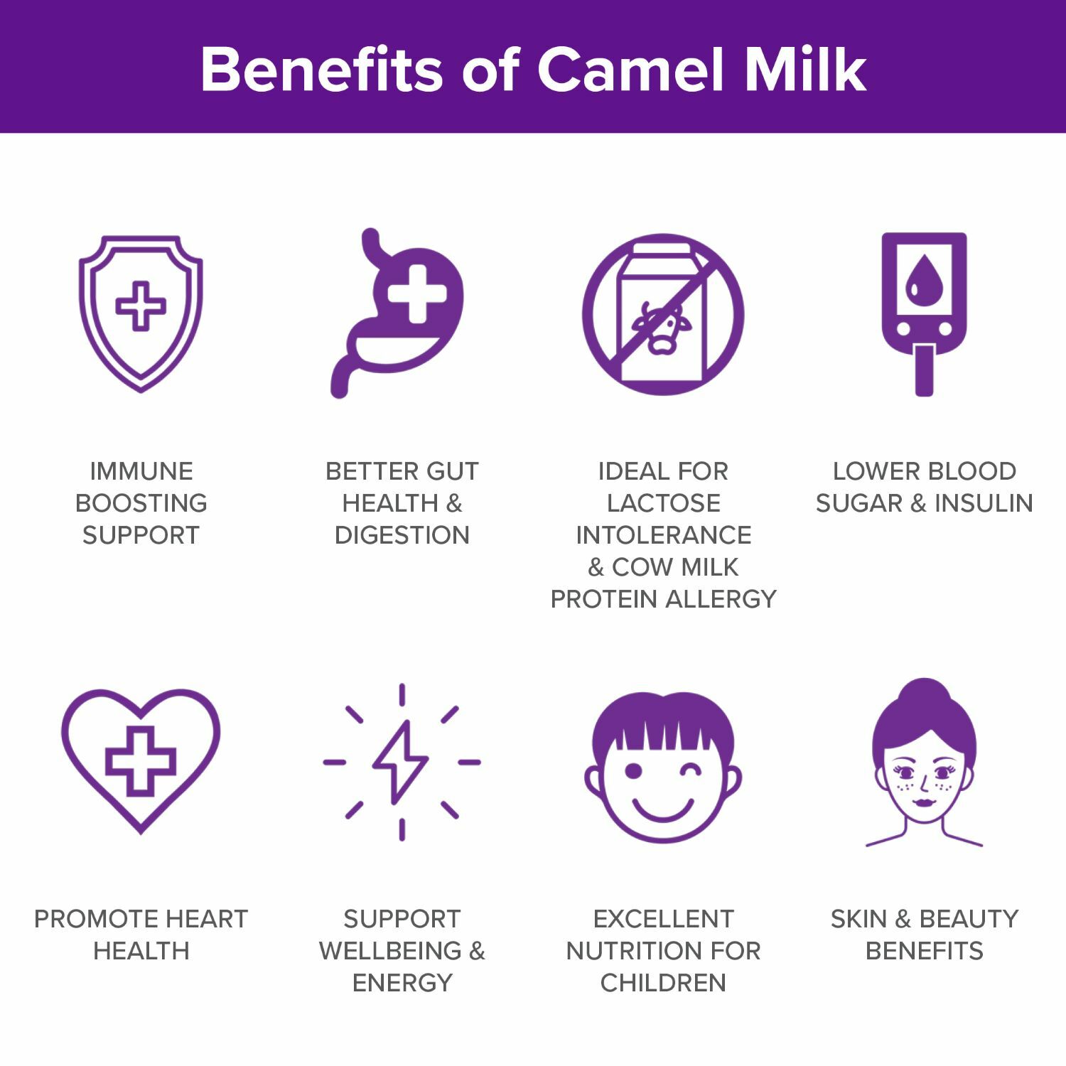 Camel Milk Powder Camelicious 1 Box 100% Natural – 24 sachets x 20g (480g) HALAL