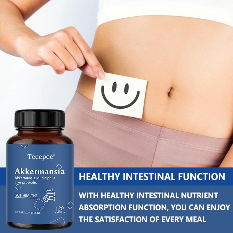 New Formula Akkermansia Muciniphila Live Probiotic Capsules Gut Health Support