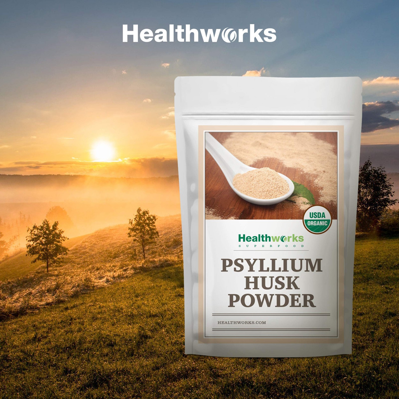 Healthworks Superfoods Organic Psyllium Husk Powder – 32 2 Pound (Pack of 1)