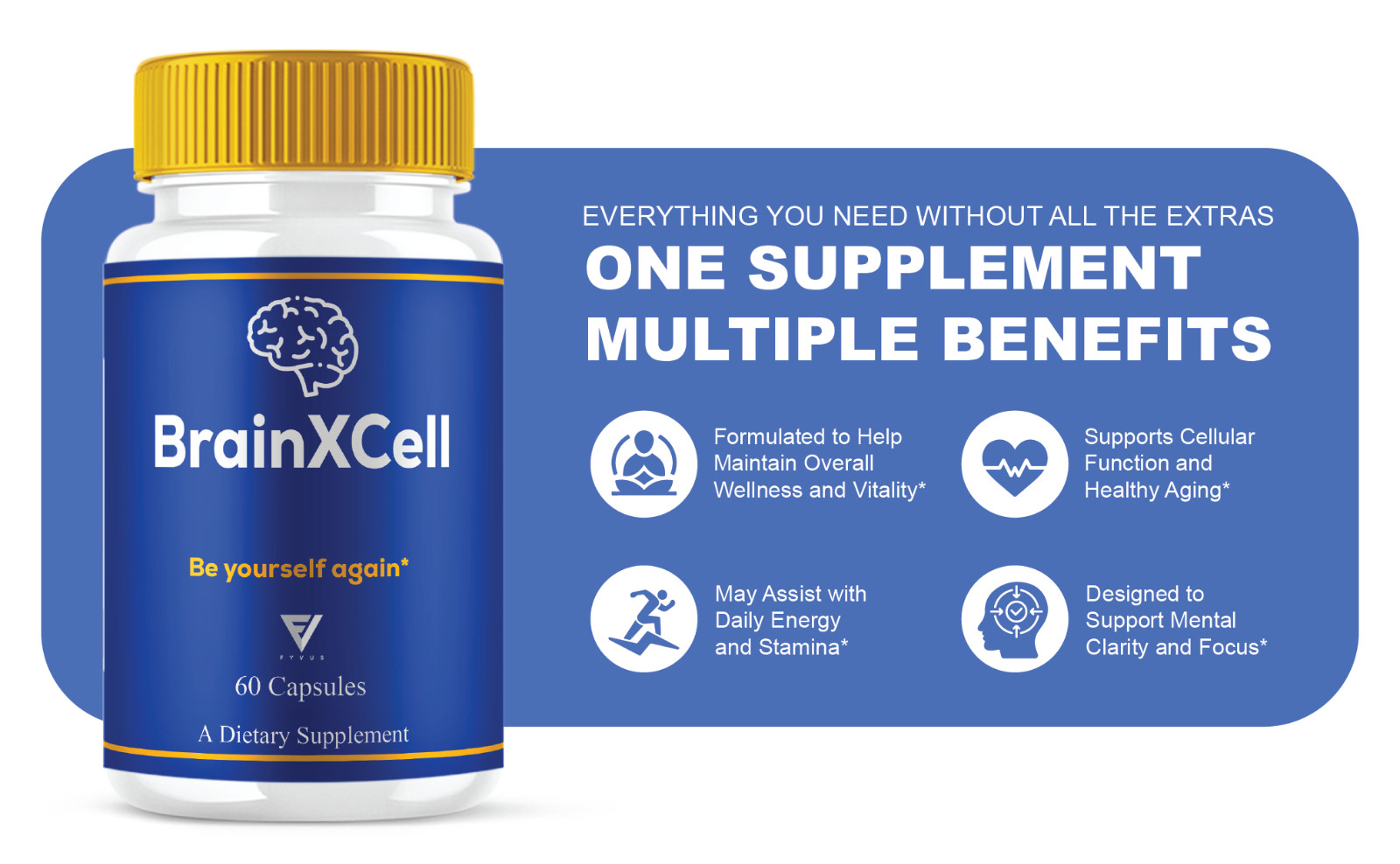 (2 Pack) BrainXCell Premium Nootropic Supplement, Brain X Cell (120 Capsules)