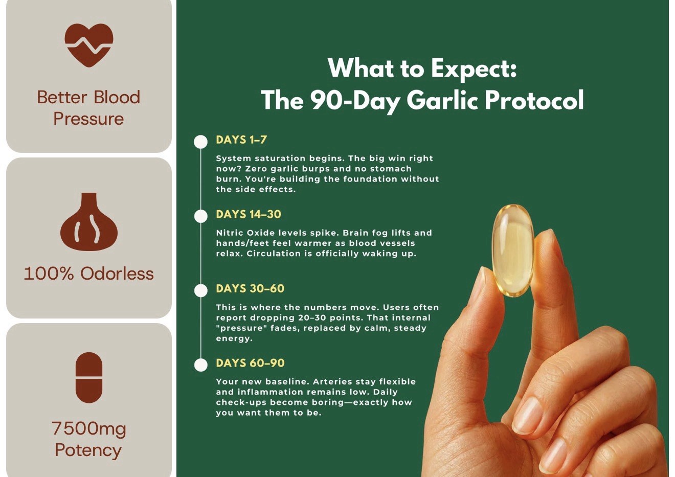 Aged Elaré Garlic Extract 7500mg Softgels GMO Gluten Dairy Free 30 Count