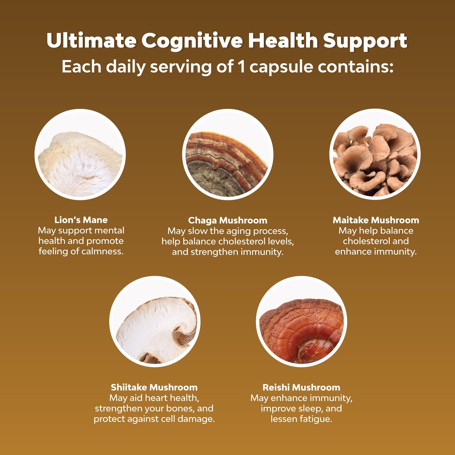Nootropic Lions Mane Mushroom Capsules 120ct
