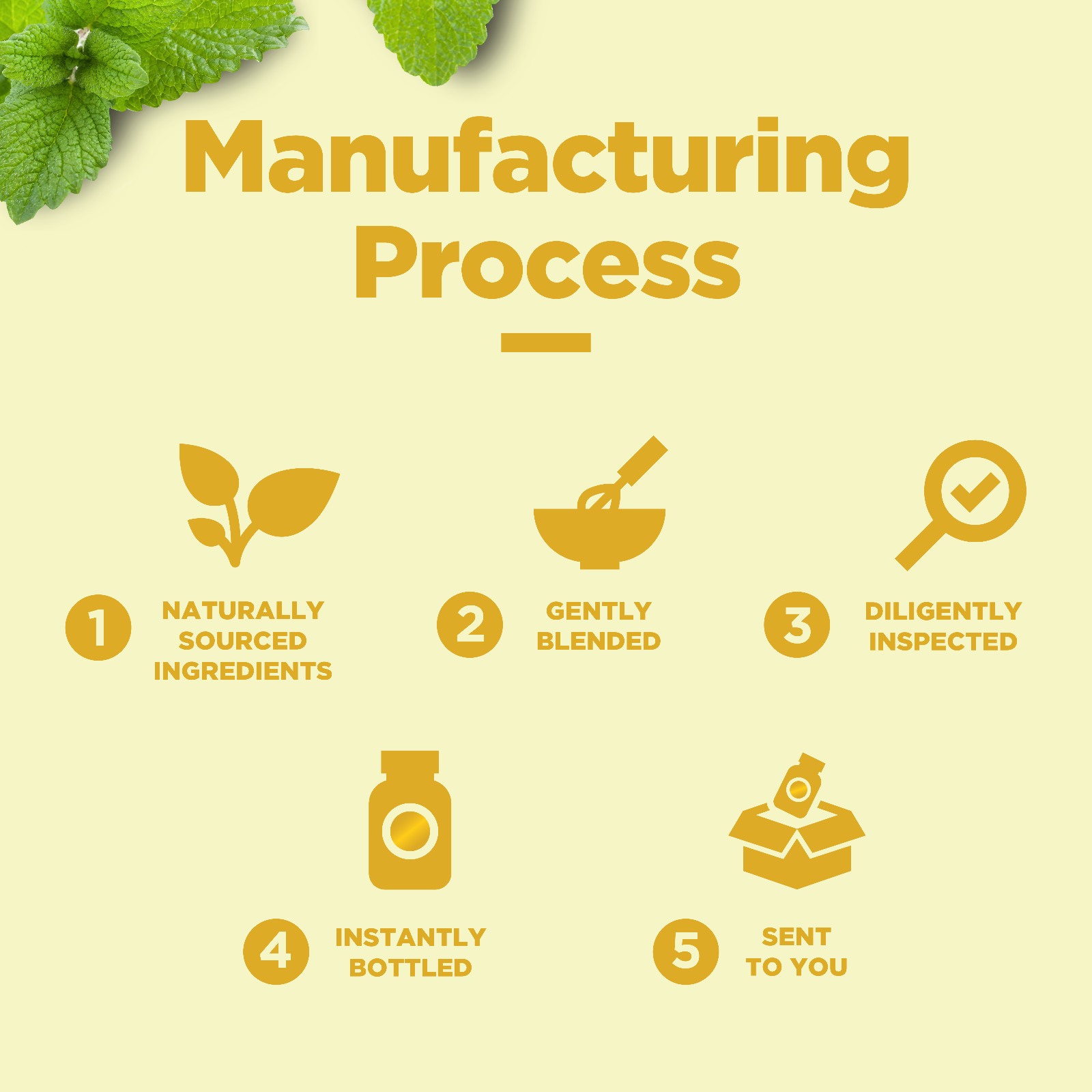 Lemon Balm Extract for Mood Support – Organic Lemon Balm Tincture for Immunity