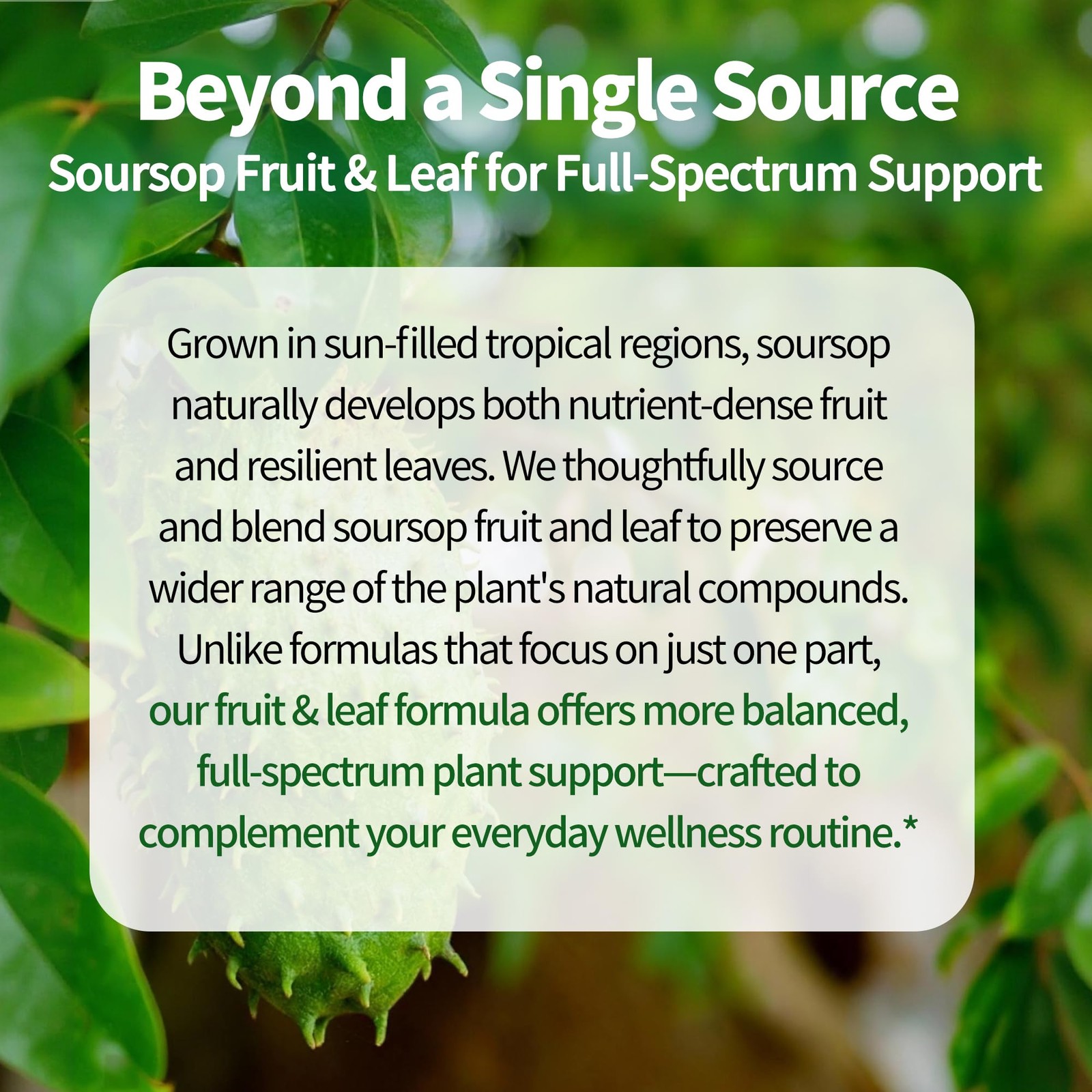 (4 Fl Oz) Soursop Bitters Liquid Drops 12 in 1 4 Oz (Pack of 1)