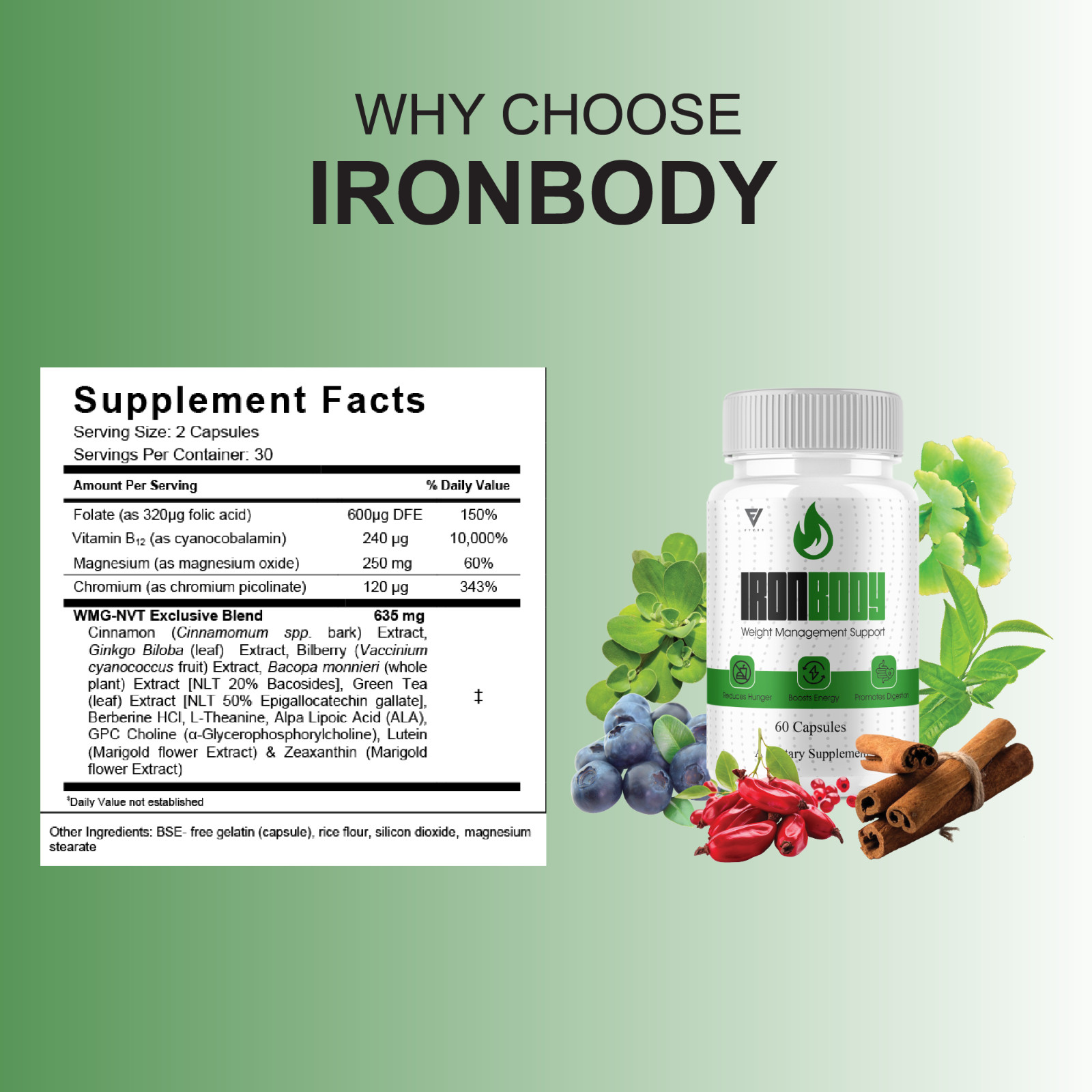 (2 Pack) IronBody Advanced Pills, Iron Body Daily Health Formula (120 Capsules)