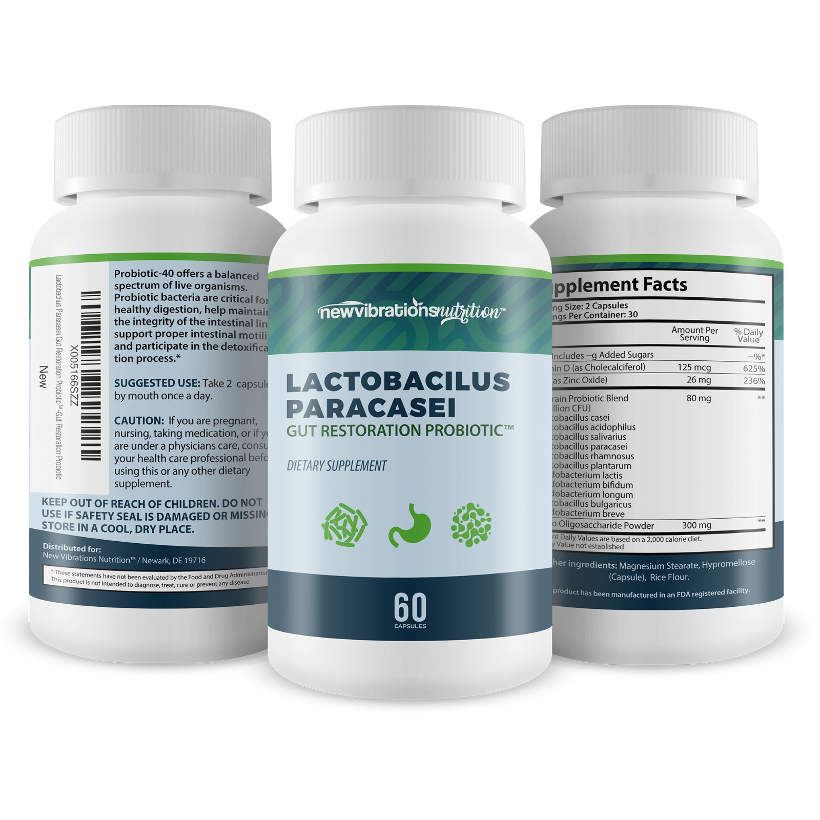Lactobacillus Paracasei Gut Restoration Probiotic – Our Best Lactobacillus