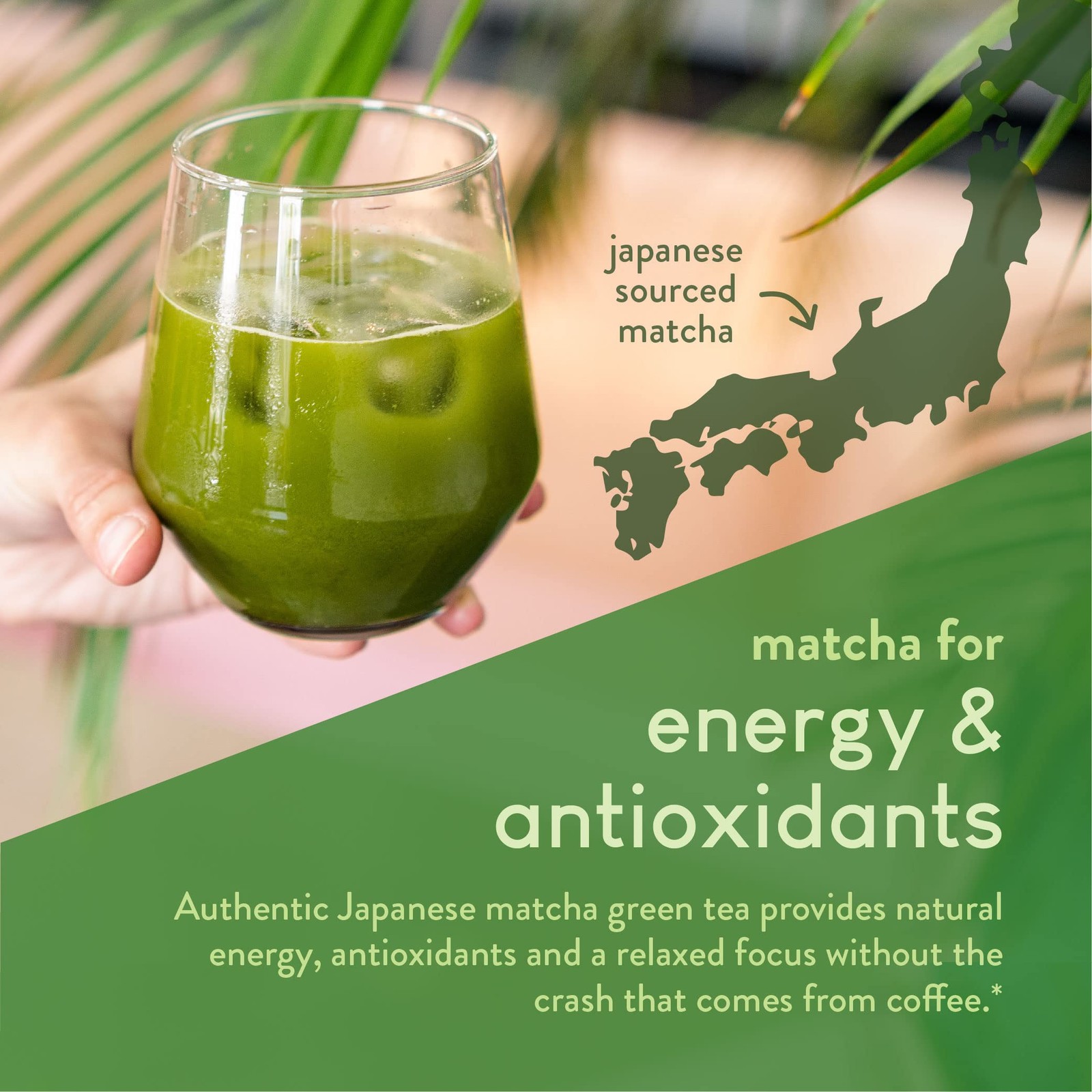 Matcha Hydrolyzed Collagen Peptides Powder Japanese Matcha Green Tea for Gut He