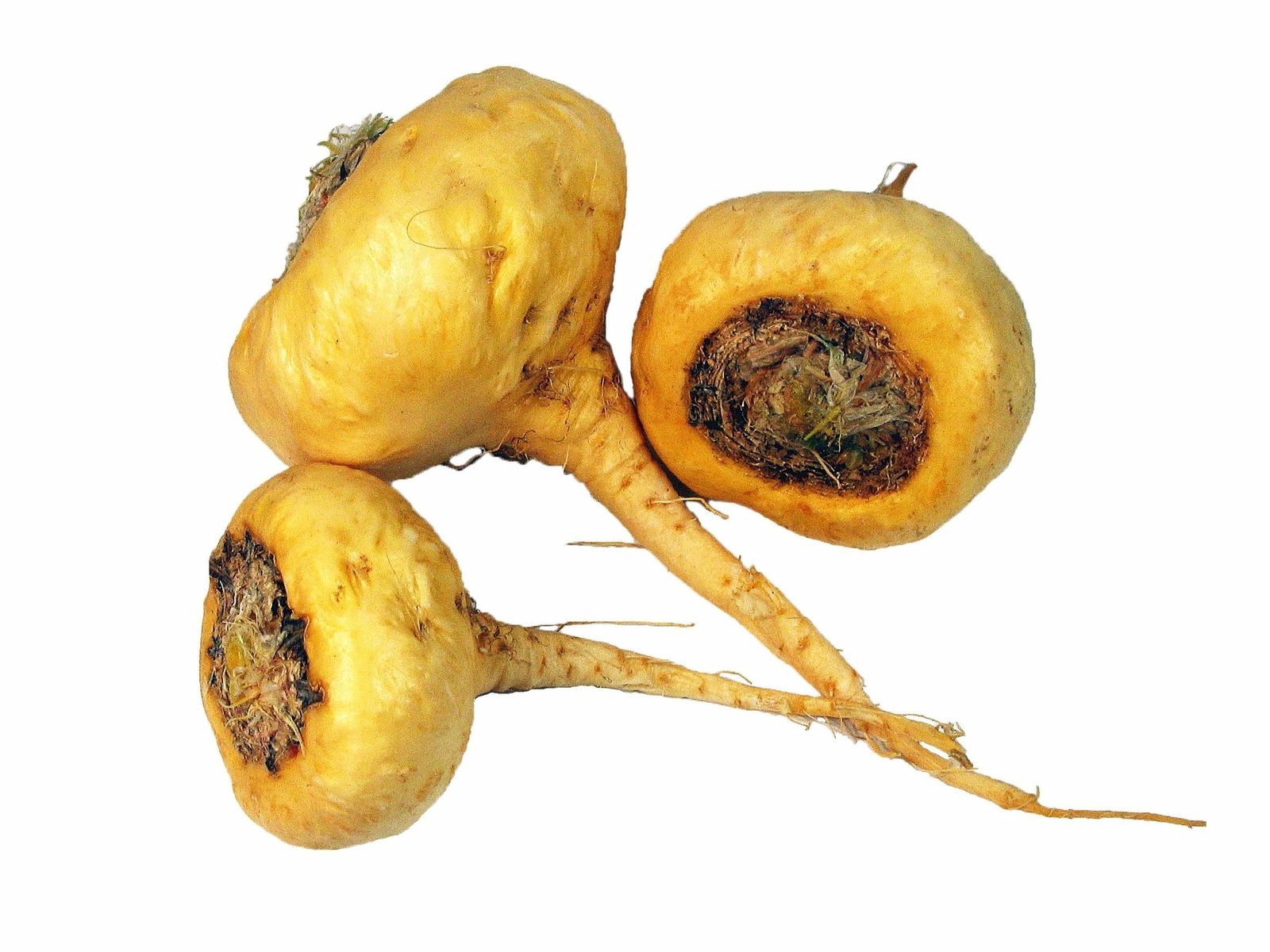 Premium Tri-Color Maca Root – Organic