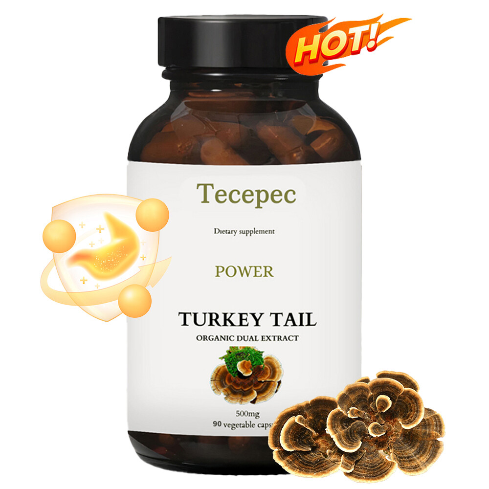 Turkey Tail Mushroom Capsules 500mg Immune & Brain Supplement