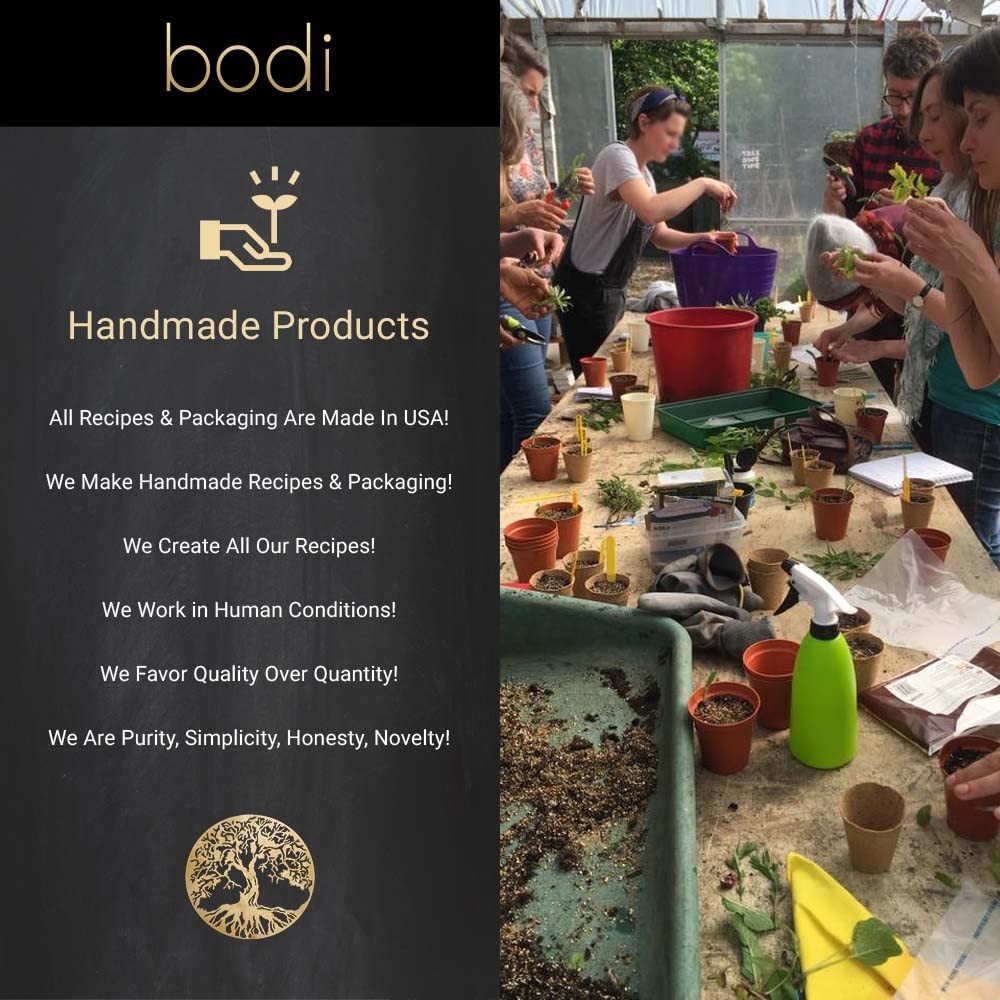 True Reishi Mushroom Capsule 100% Pure Natural Hand Crafted