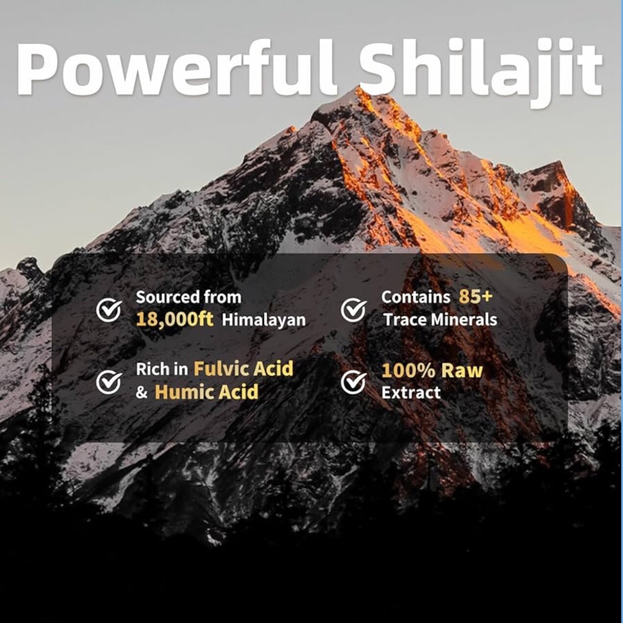 (2 Pack) Tarmya’s Pure Himalayan Organic Gold Grade Shilajit Resin – 50g Pack