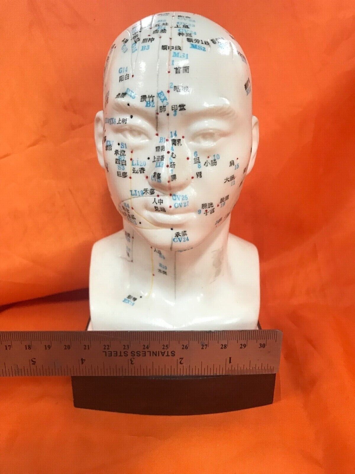 Man Acupuncture Model/男士头模(1 pcs/box)