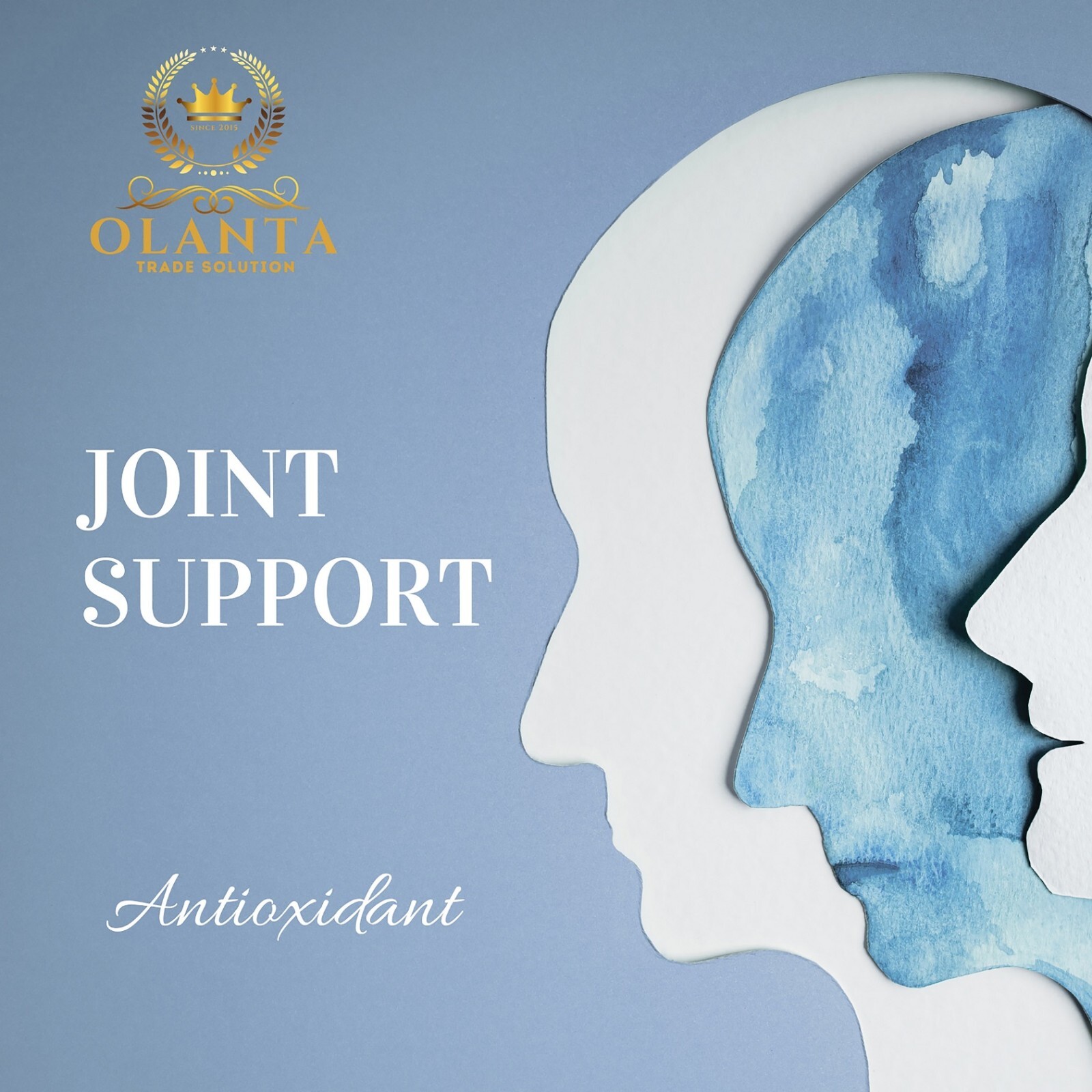 Herbal Uric Acid – URIC ACID FORMULA ADVANCED COMPLEX – joint support supplement