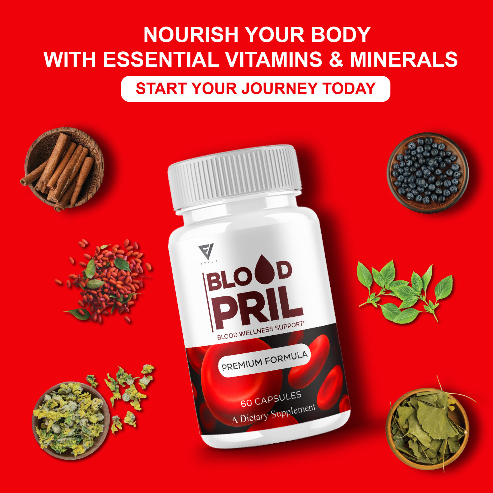 (3 Pack) Blood Pril Blood Health Pills, BloodPril Premium Support (180 Capsules)