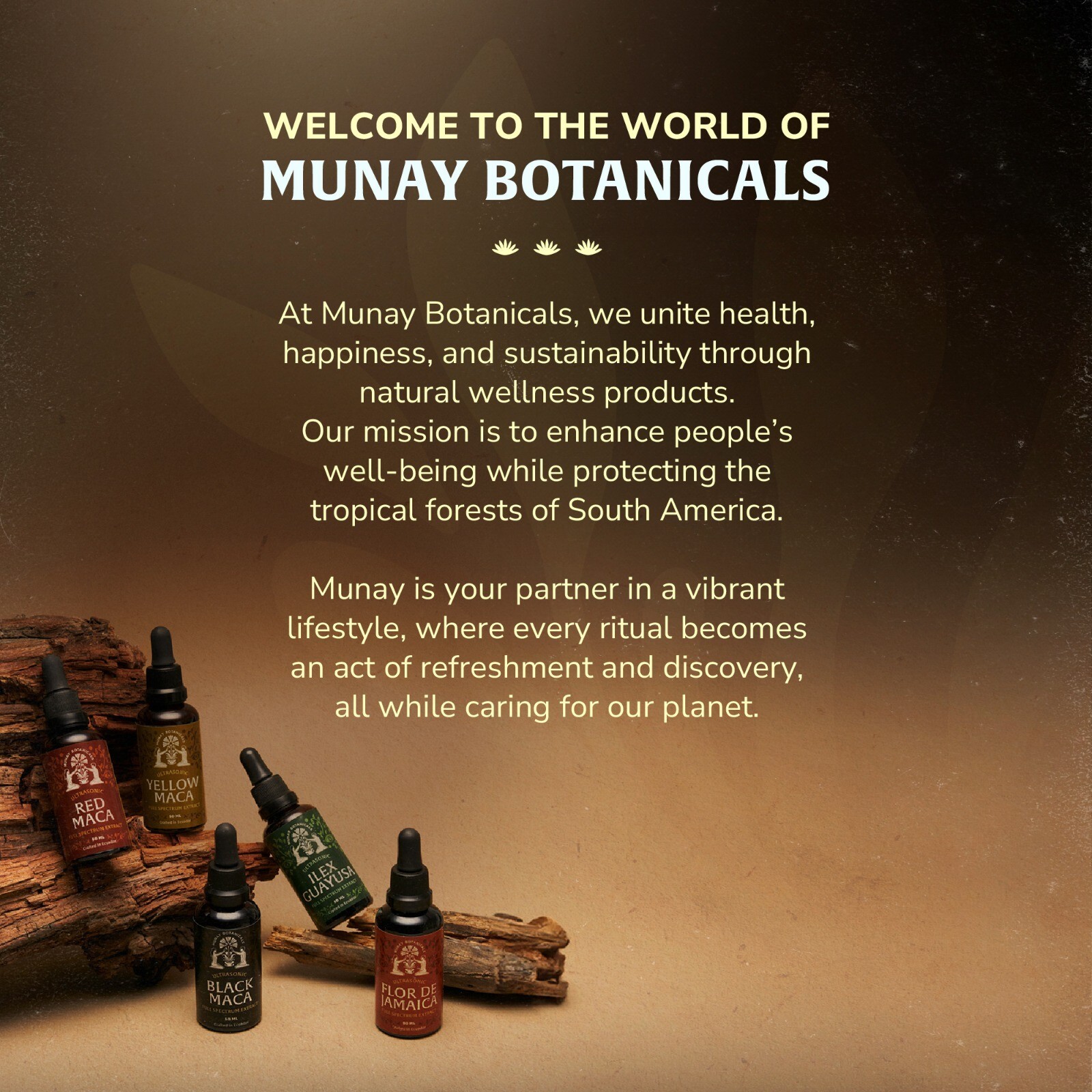 Black Maca Extract | Natural Peruvian Root | Energy & Vitality Boost