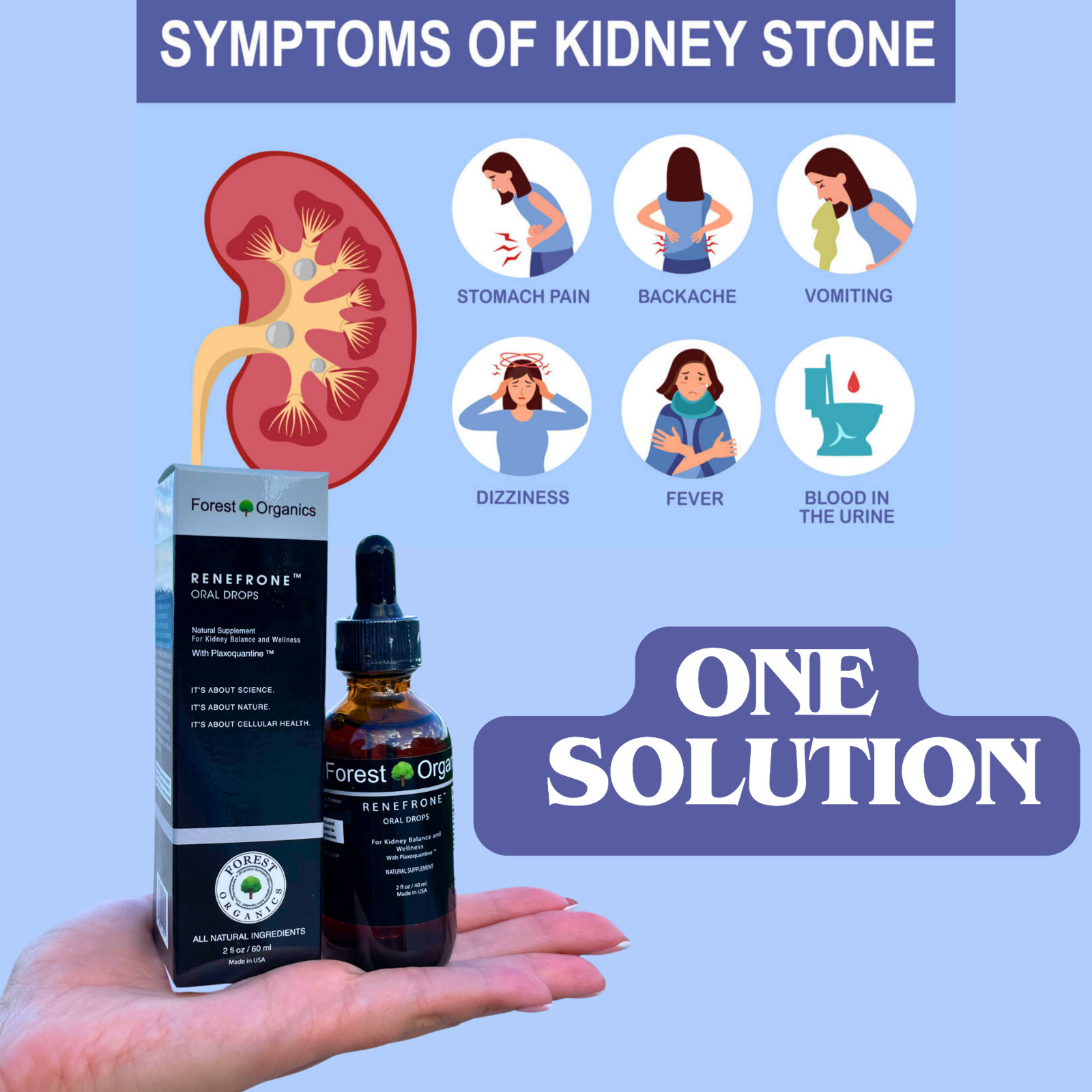 Kidney Health Support Supplement Kidney Detox Drops & Support Kidney Function