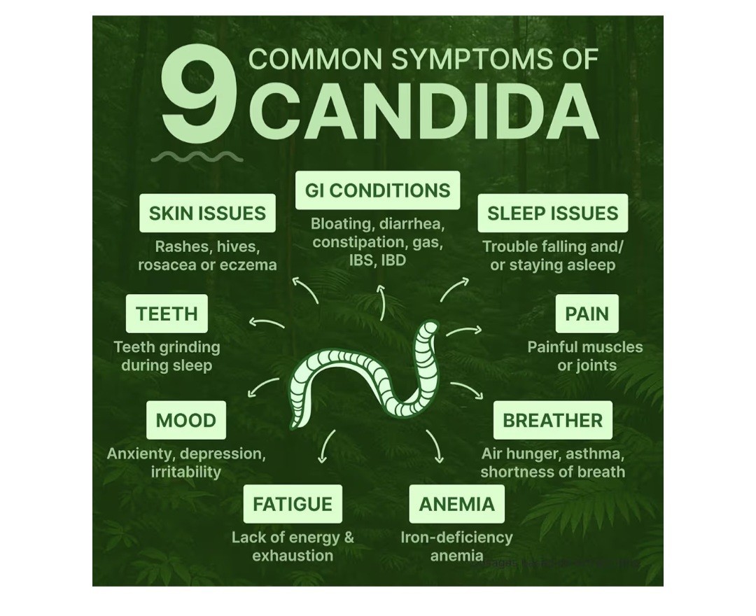 Dr. Siti Candisite Candida Cleanse 60 Gummies Digestive Support Mixed Berry