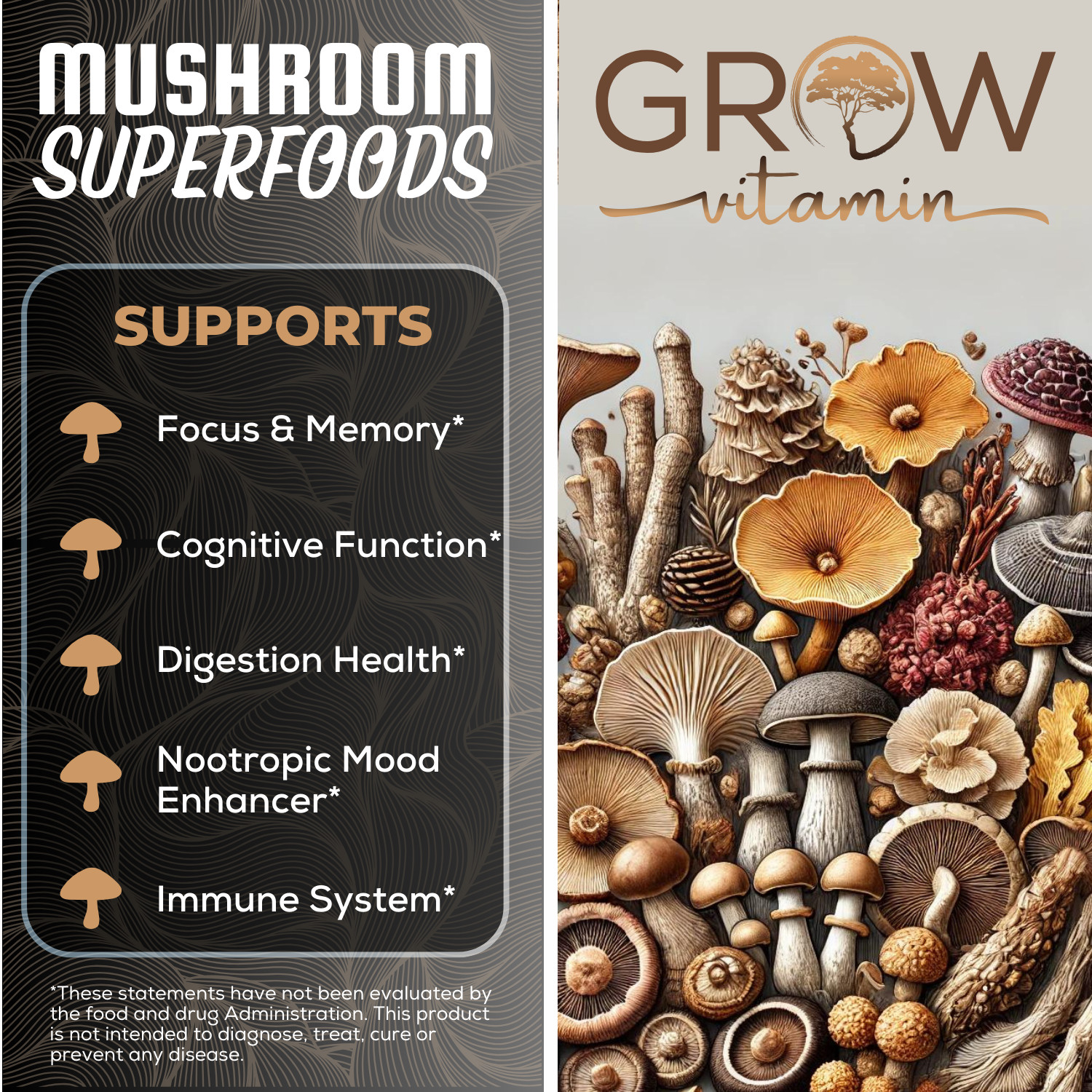 Genius Mushroom Supplement – Lions Mane, Cordyceps, Reishi – Brain Nootropic for