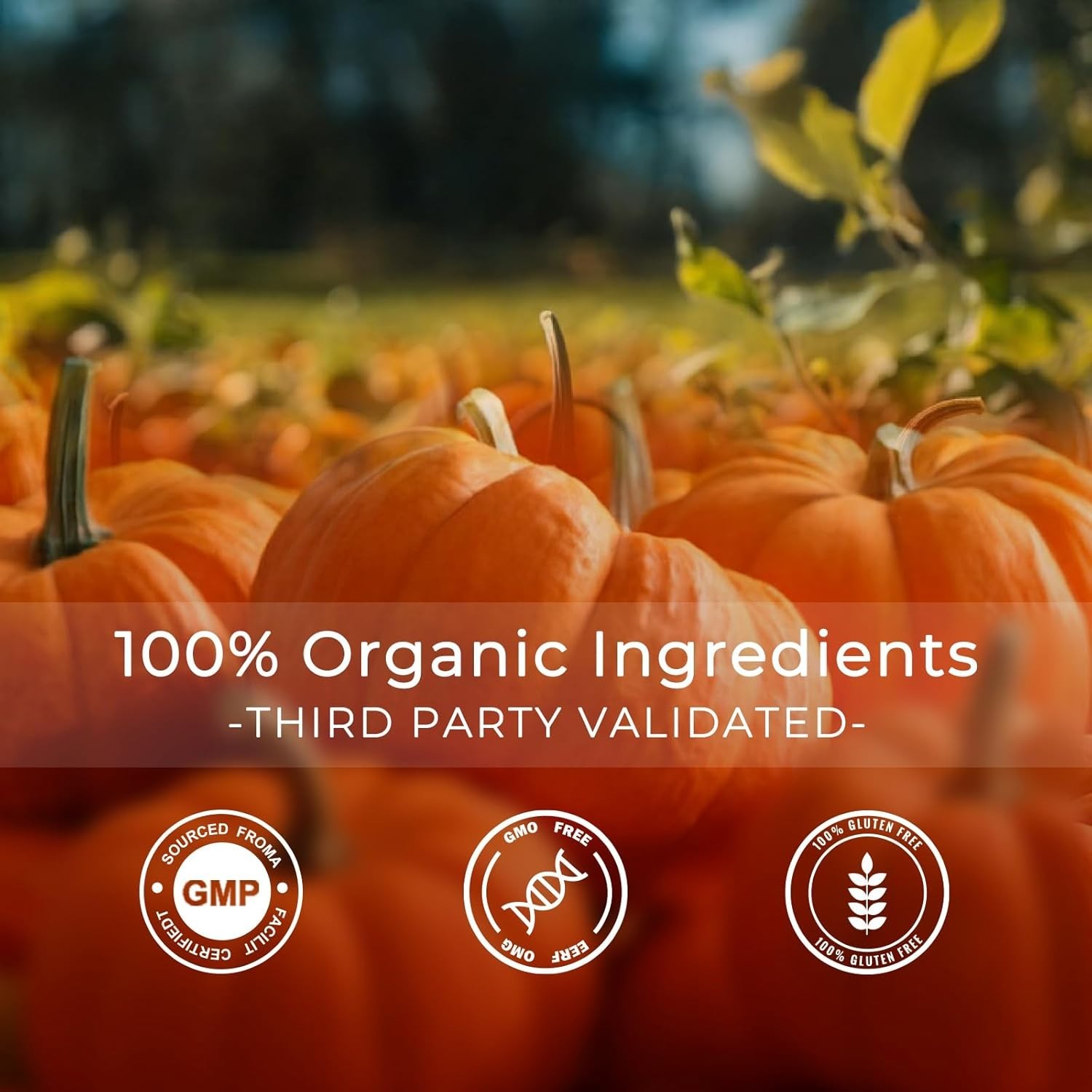 Pumpkin Seed Oil with Saw Palmetto Softgels, 3000mg Per Serving – Cold Pressed,