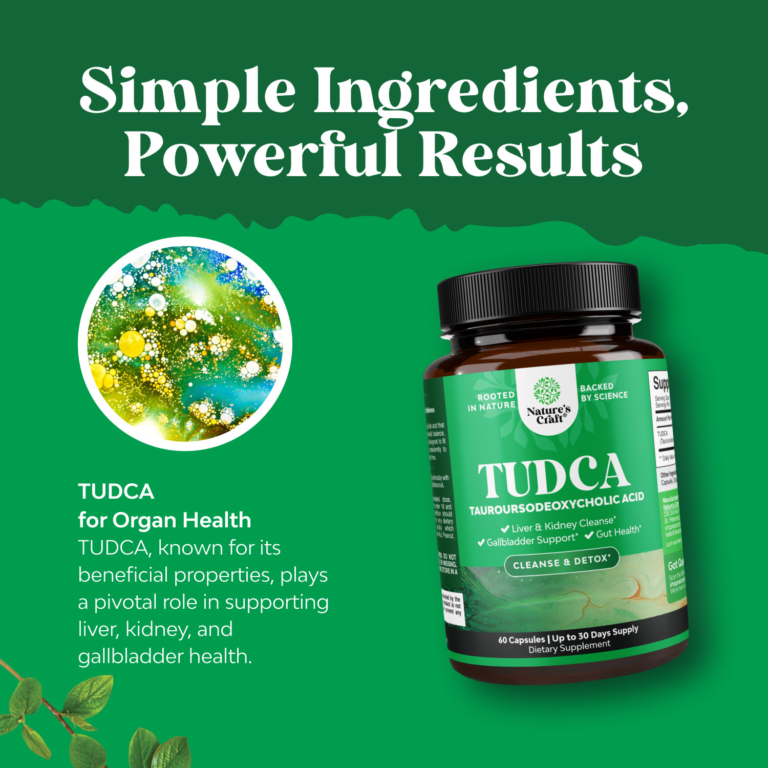 Advanced TUDCA Liver Support Supplement – Extra Strength TUDCA 500mg Bile Salts