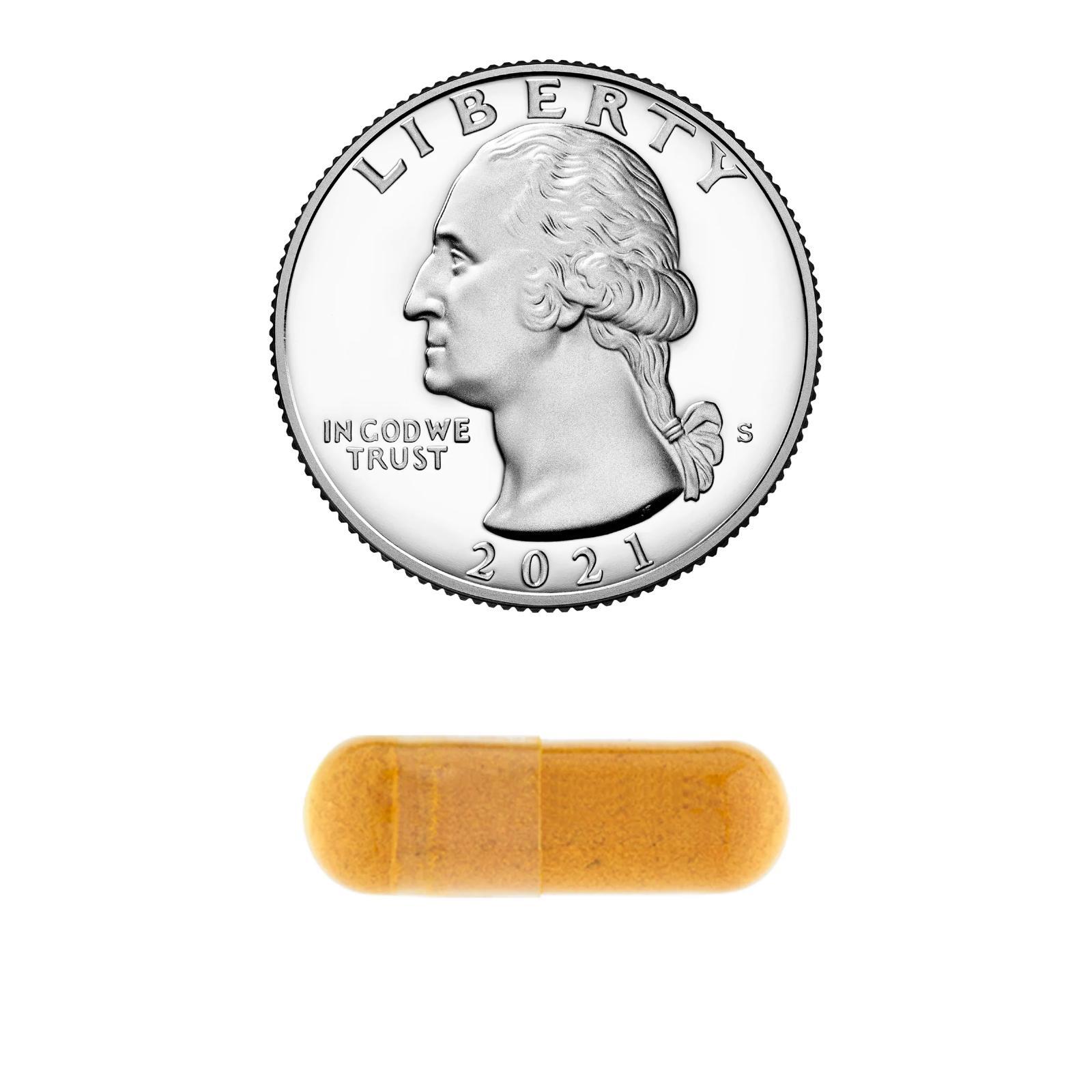 Turmeric Curcumin With Ginger Powder 500 Mg Cardiovascular Joint Health, 90 Caps