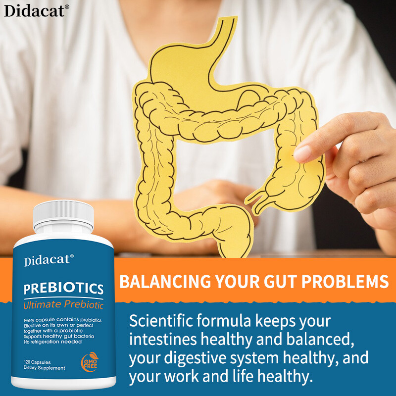 Prebiotic Supplement Protect Intestinal Health & Digestive System Health