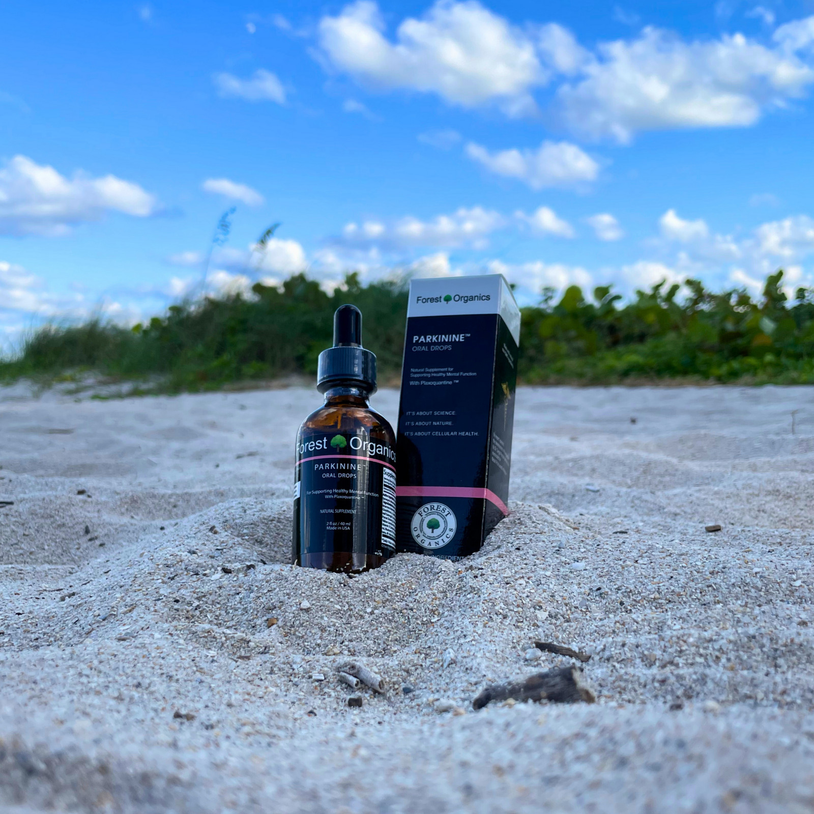 Optimize Brain Power, Improve Focus, Memory &Mental Agility, Bacopa Monnieri&B12