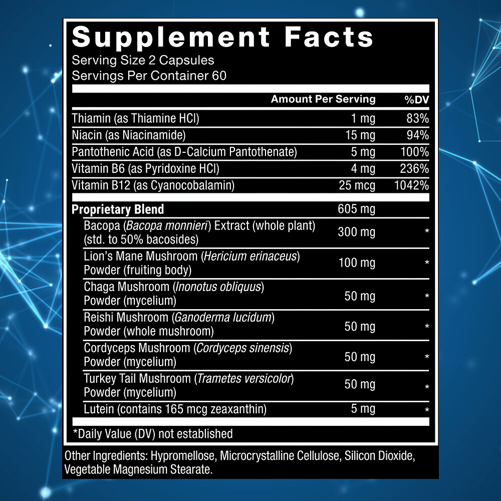 Brain Support Nootropic – Helps Maintain Memory, Focus & Mental Clarity