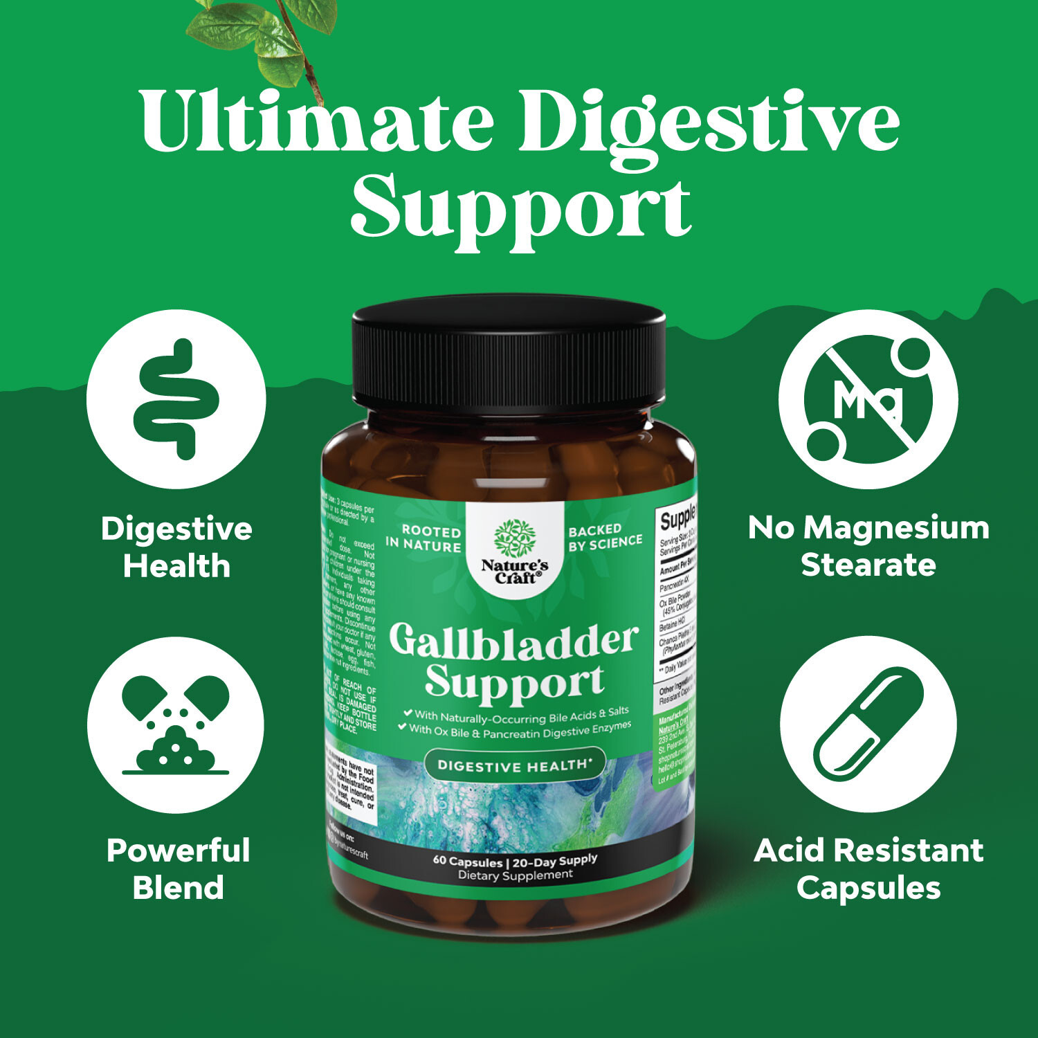 Ox Bile Salts for Gallbladder Support – Purified Bile Salts Supplement 60ct