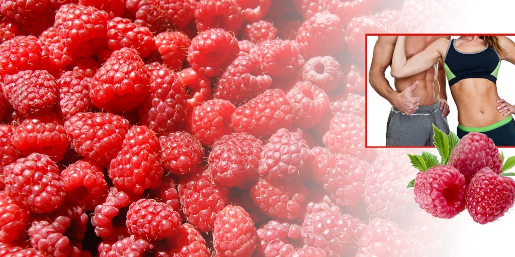 Weight loss powder – RASPBERRY KETONES – CLA COMBO – cla carnitine