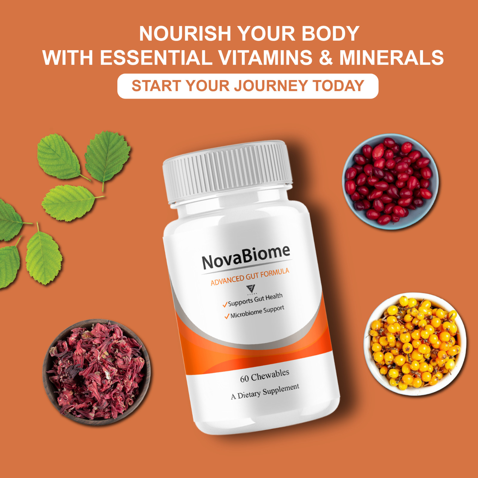 (3 Pack) NovaBiome Advanced Gut Formula, Nova Biom Daily Support (180 Chewables)
