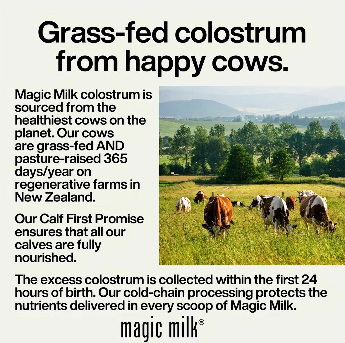 Magic Milk New Zealand Grass Fed Colostrum & Collagen Chocolate Milk Flavor