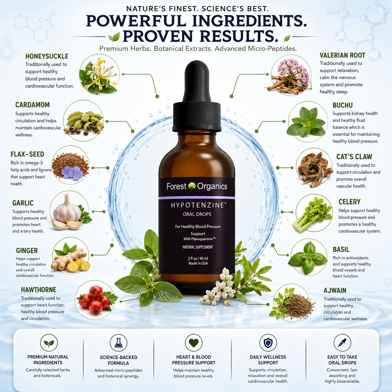 Cardiovascular Health, Diseases Cardiovascular. Heart supplements. Heart Health