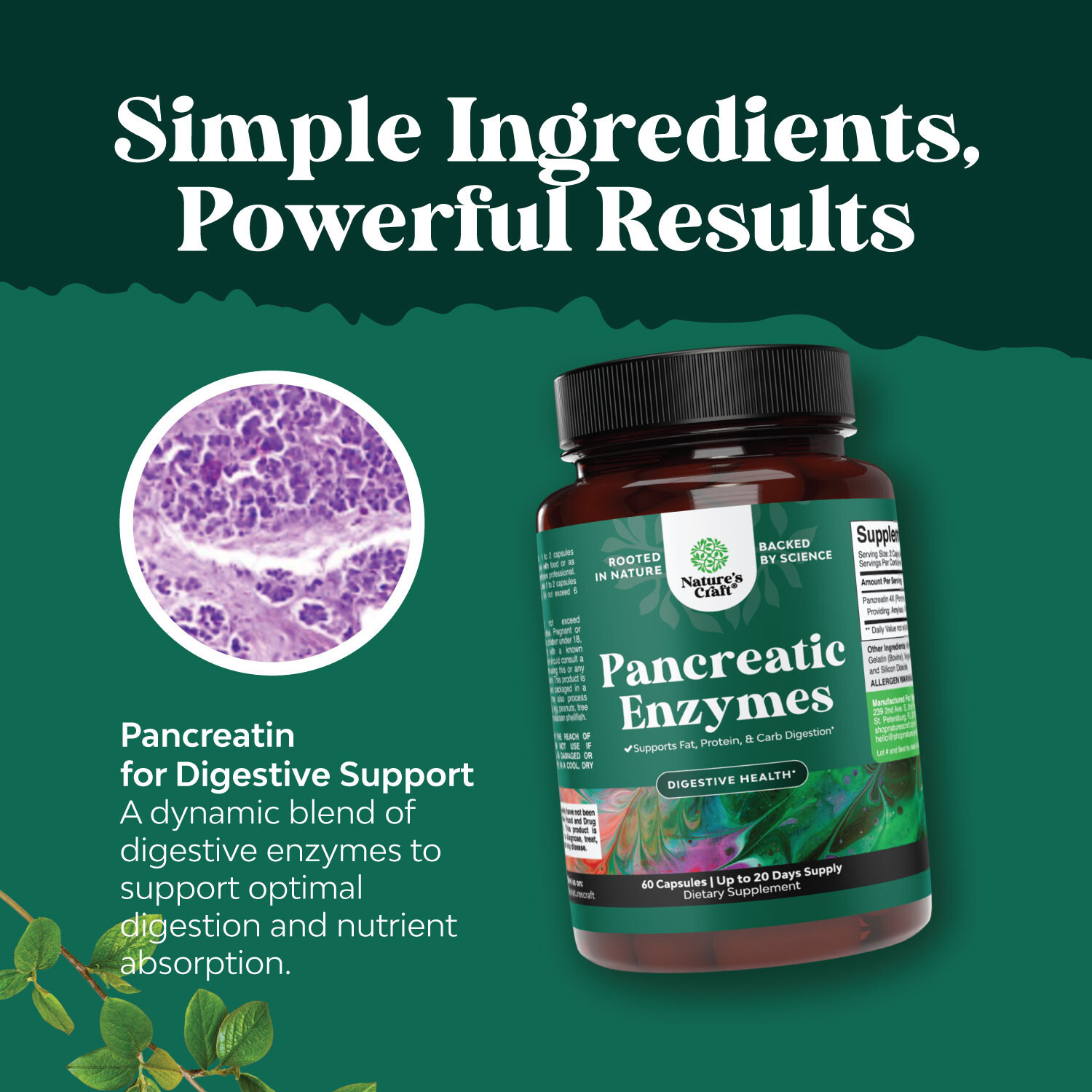 Pancreatin Digestive Enzymes for Digestive Health – Protease Amylase & Lipase