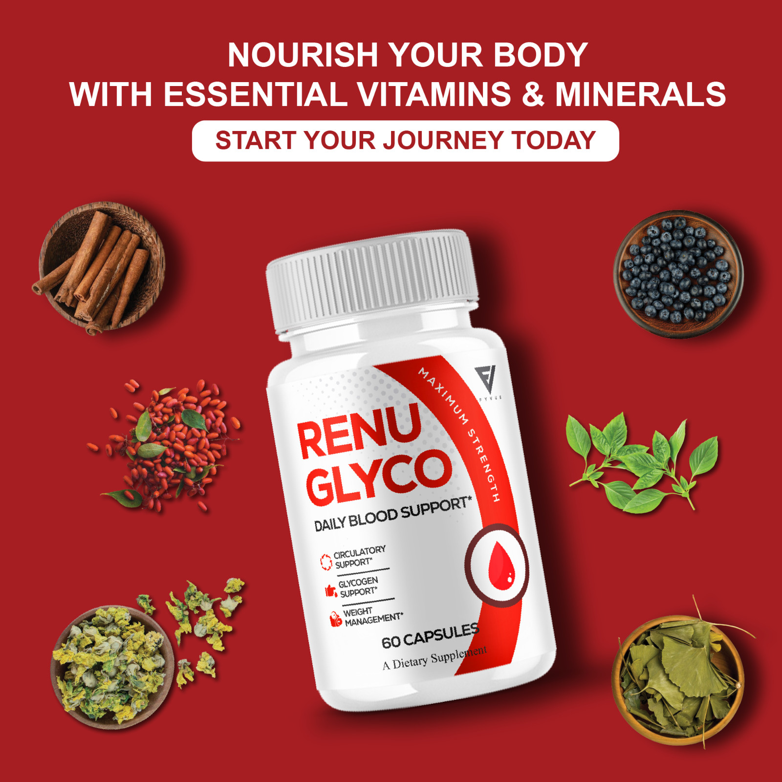 Renu Glyco Daily Blood Support Capsules, RenuGlyco Pills (60 Capsules)