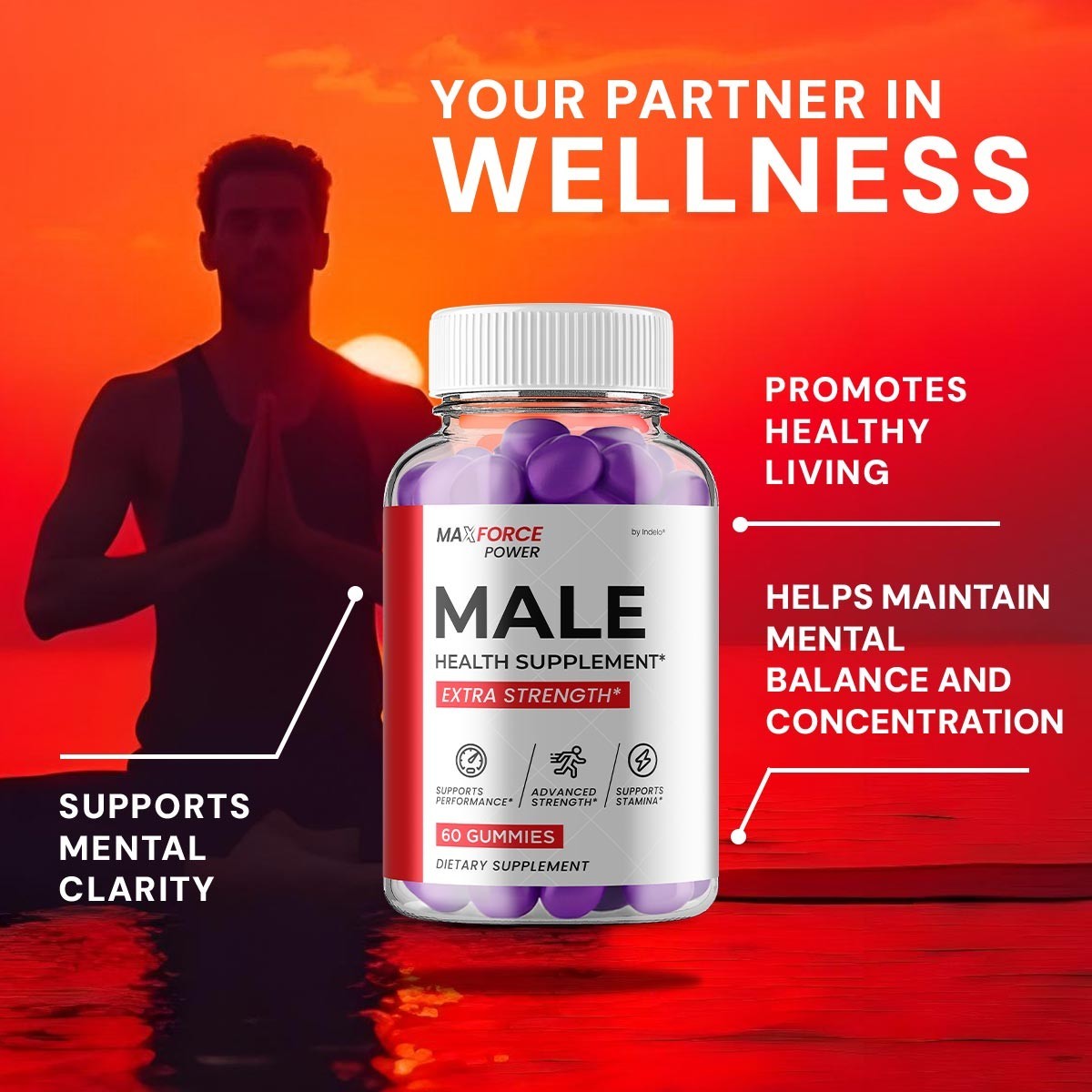 (2 Pack) Max Force Power Gummies for Men – MaxForce Power Gummy Natural Blend