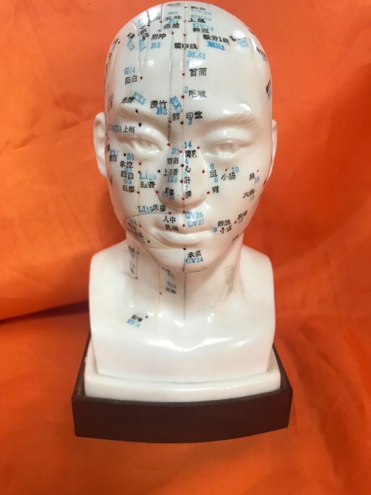 Man Acupuncture Model/男士头模(1 pcs/box)