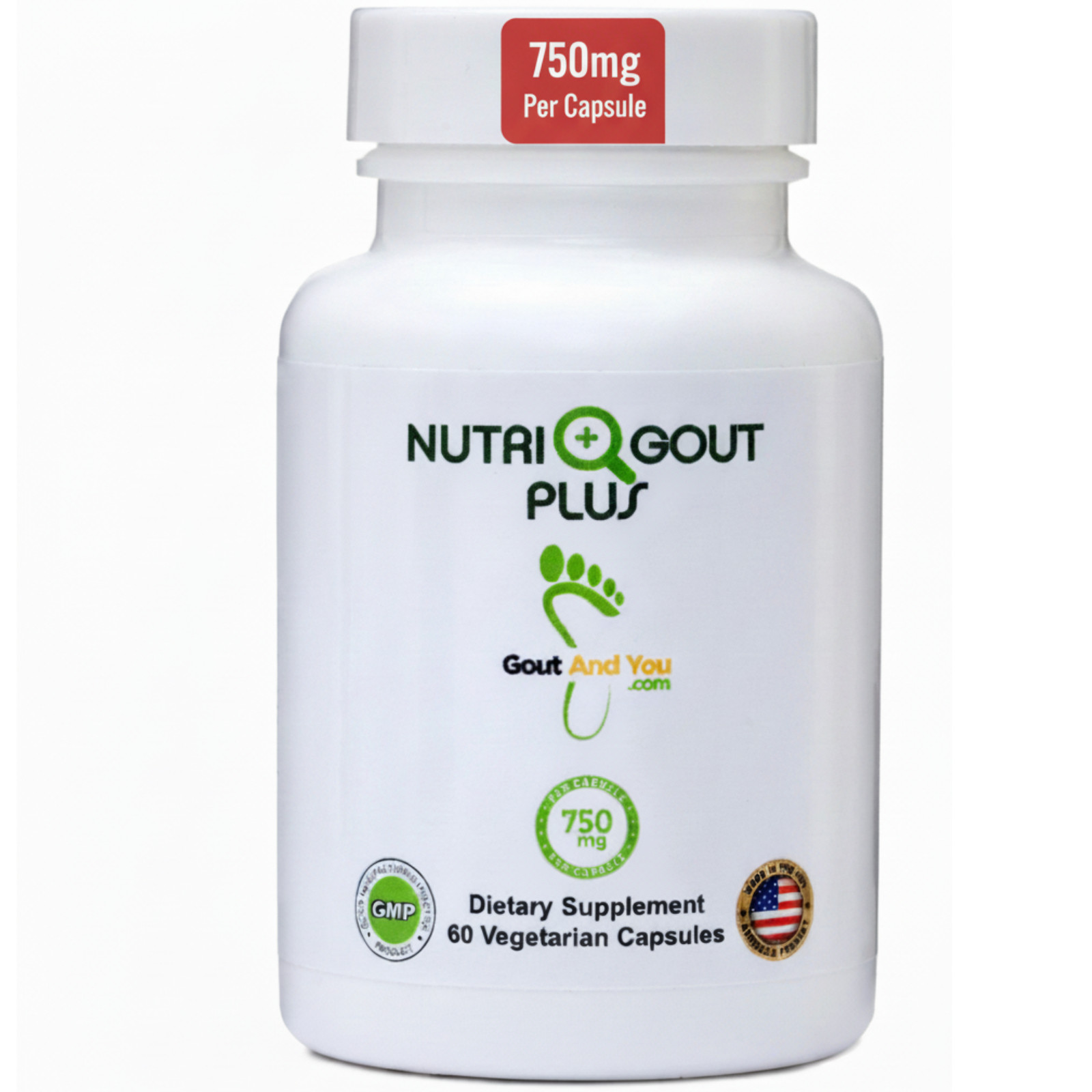 Nutrigout Plus Uric Acid Support by Gout and You