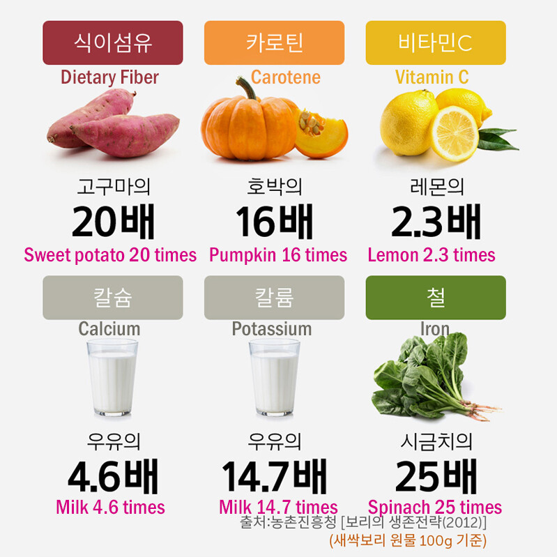 Korea Jeju Island Barley Grass Powder Juice Tea Detox 5.3oz/150g 제주 무농약 새싹보리가루