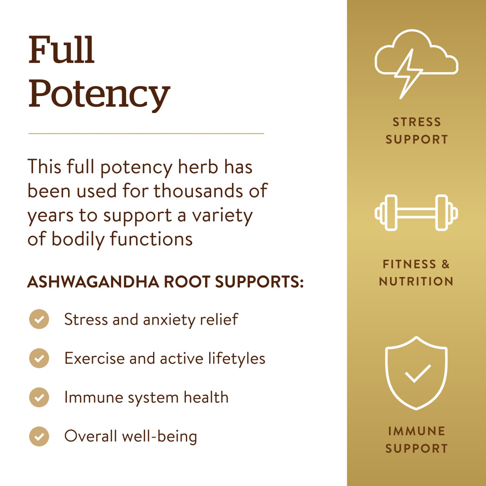 Solgar SFP Ashwagandha Root 60 Veg Capsules, Immune Support, High Herb Quality