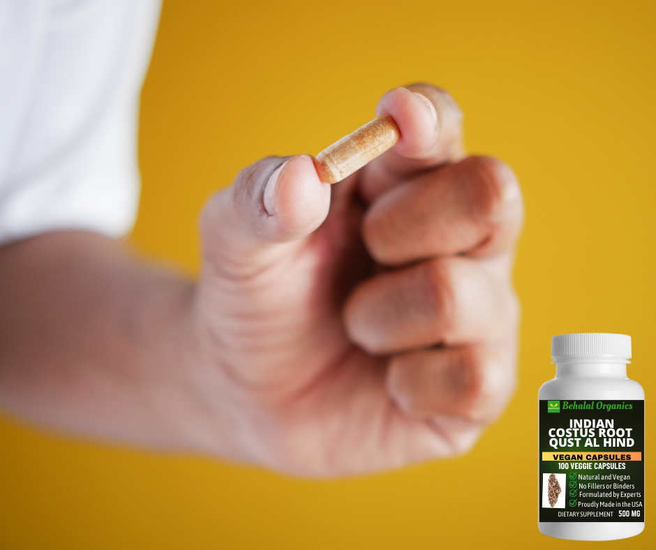 Indian costus 500mg Qust al Hind 100 veg capsules
