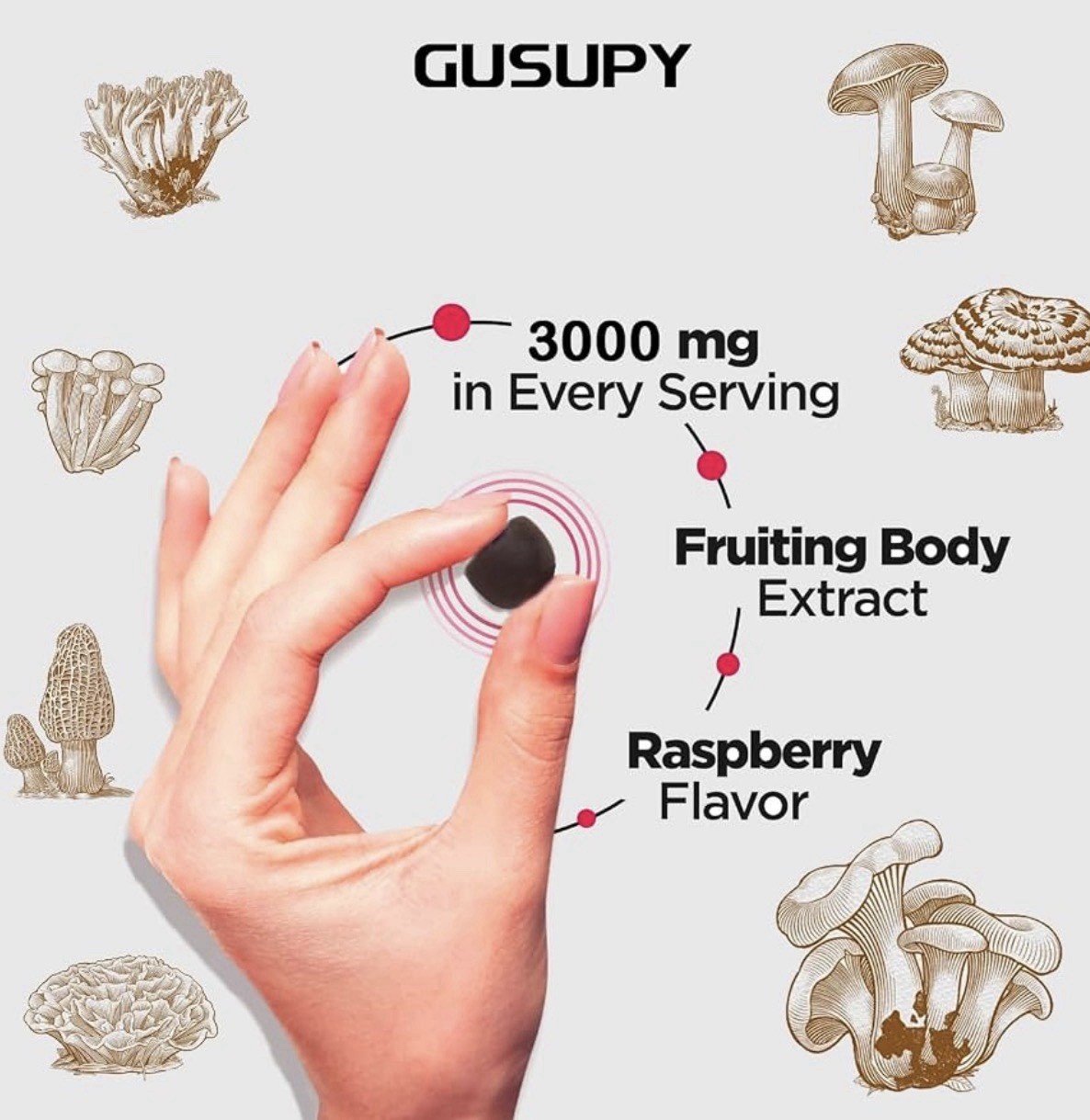 GUSUPY Super Mushroom Daily Gummies Wild Blueberry 60ct 300mg GF Exp 12/2027