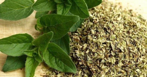 Oregano Leaf Powder | 3.5oz to 5lb | 100% Pure Natural Hand Crafted