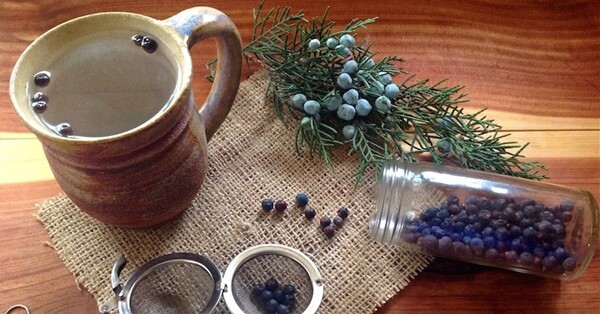 Juniper Berry Cut Dried | 5.5oz to 5lb | 100% Pure Natural Hand Crafted