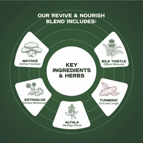 Mother Nature Revive & Nourish Mushroom & Herbs Dietary Supplement – 60 ml