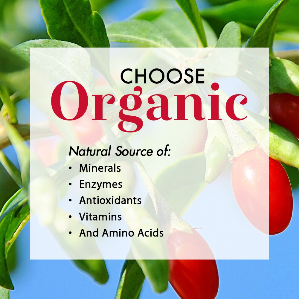 Dynamic Health Goji Gold Certified Organic Goji 100% Juice Supplement 32 fl oz