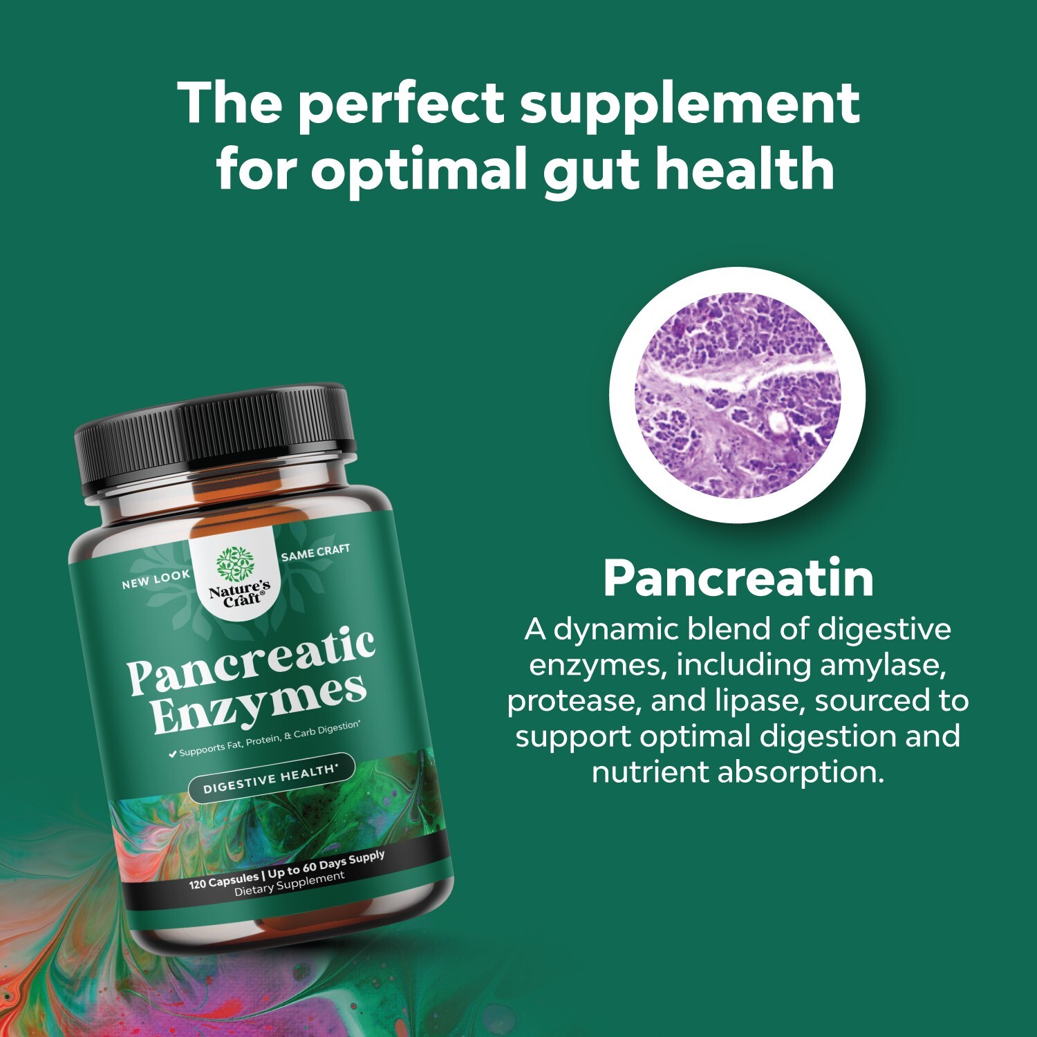 Pancreatin Digestive Enzymes for Digestive Health
