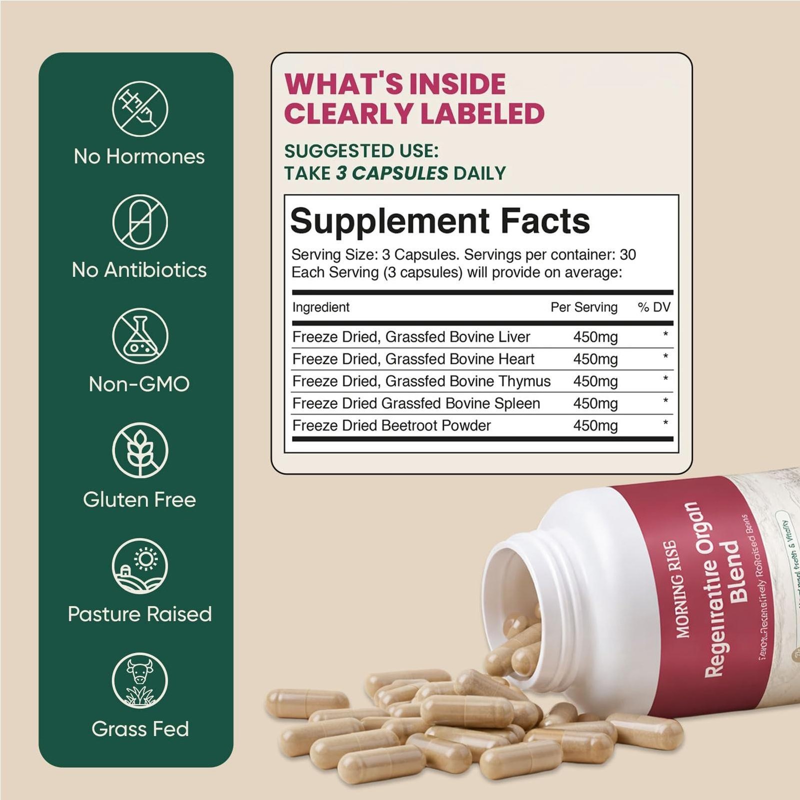 MORNING RISE Regeneratively Raised Beef Organs Capsules, Grass Fed & Pasture Rai