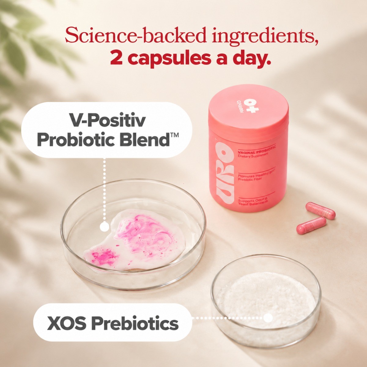 URO Women’s Vaginal Probiotics | 60ct Prebiotic & Probiotic Supplement